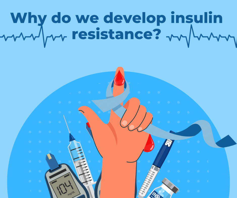 Why do we develop insulin resistance?